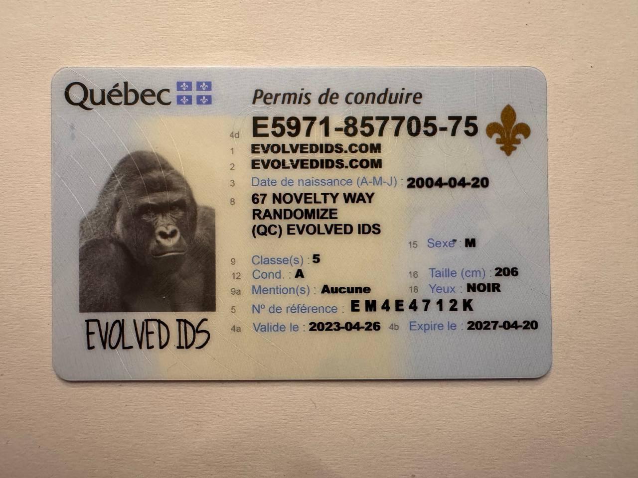QC_FRONT